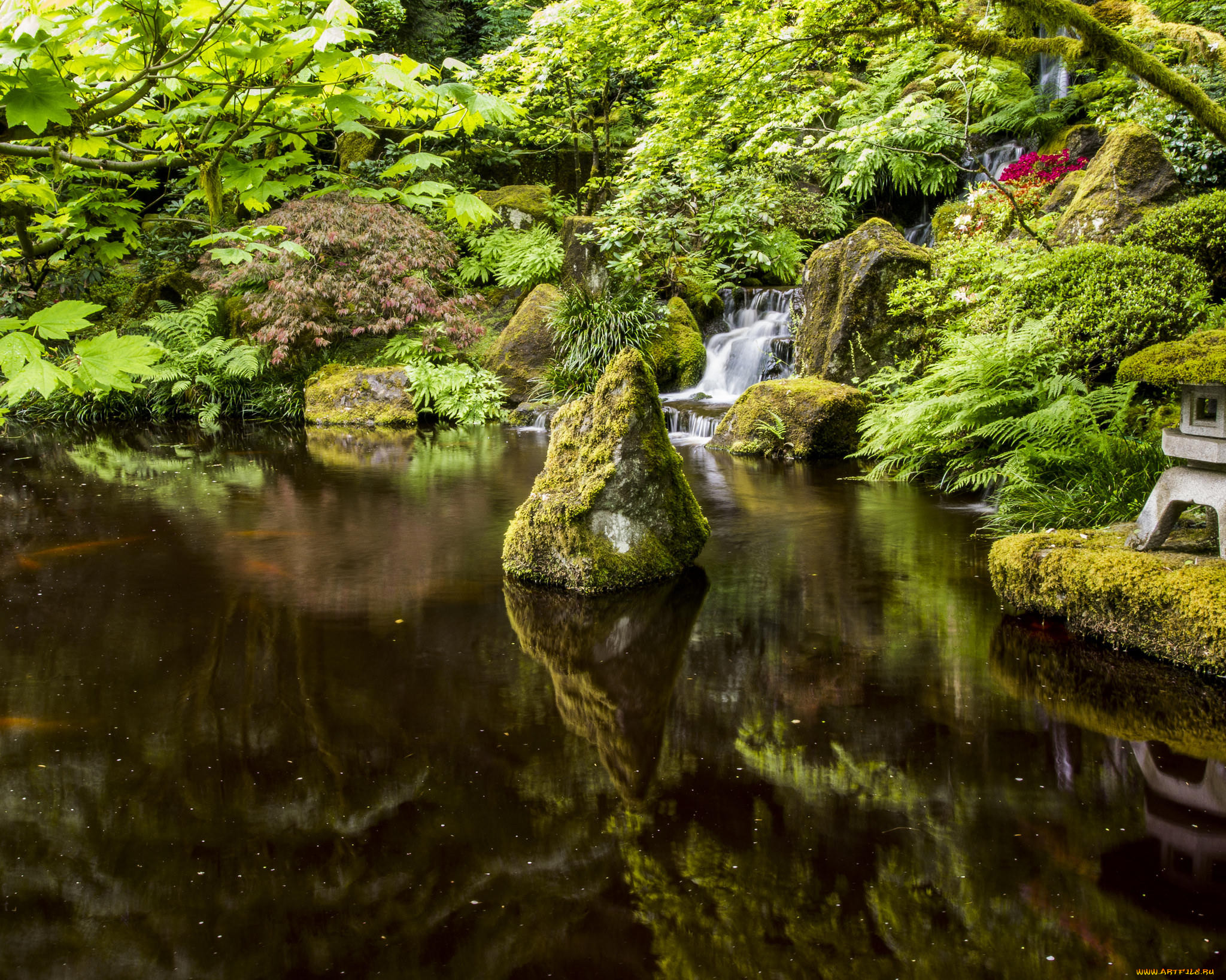 , , portland, japanese, garden, , , , , 